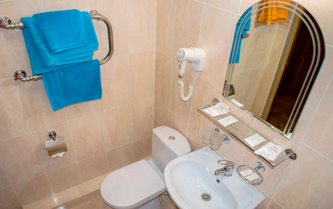Эконом 1-местный, фото 3