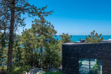 Студия с  видом на море № 420, фото 1