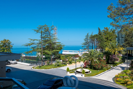 Студия с видом на море и парк № 220, фото 1