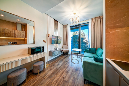 Deluxe с видом на море и парк № 428, фото 4