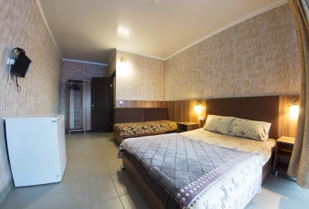 Стандартный Стандартный 2-местный 1-комнатный, фото 4