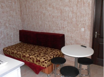 Апартаменты 2-местный с кухней, фото 5