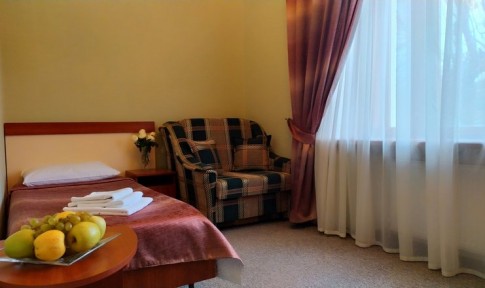 Стандартный 1-местный "Кабинет художника", фото 4