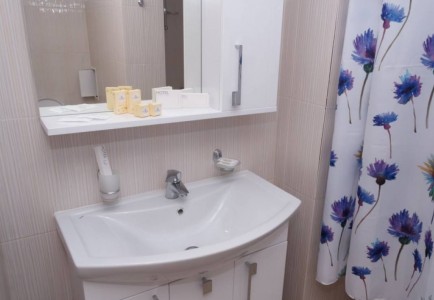 Полулюкс 2-местный, фото 3