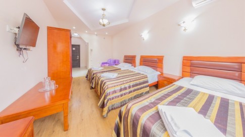 Комфорт 3-местный 1-комнатный без балкона, фото 2