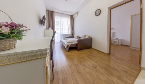 Комфорт Люкс-комфорт с балконом 2-комнатный, фото 3