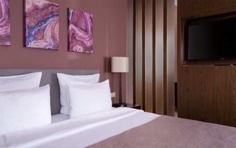 Panorama Suite 2-местный, фото 3