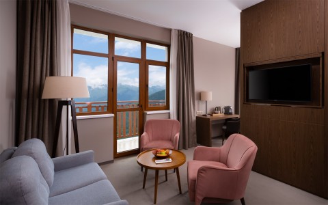 Panorama Suite 2-местный, фото 1