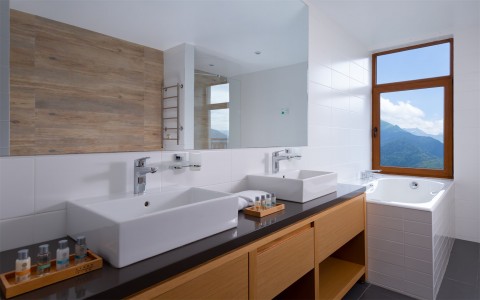 Panorama Suite 2-местный, фото 4