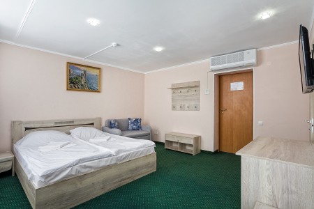 Стандарт Семейный 3-местный 1-комнатный с террасой, фото 2