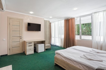 Стандарт Семейный 3-местный 1-комнатный с террасой, фото 4