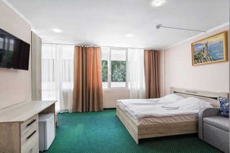 Стандарт Семейный 3-местный 1-комнатный с террасой, фото 5