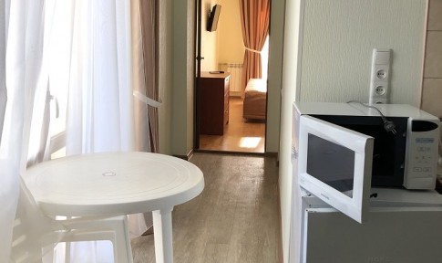 Полулюкс 2-местный 2-комнатный №311, фото 3