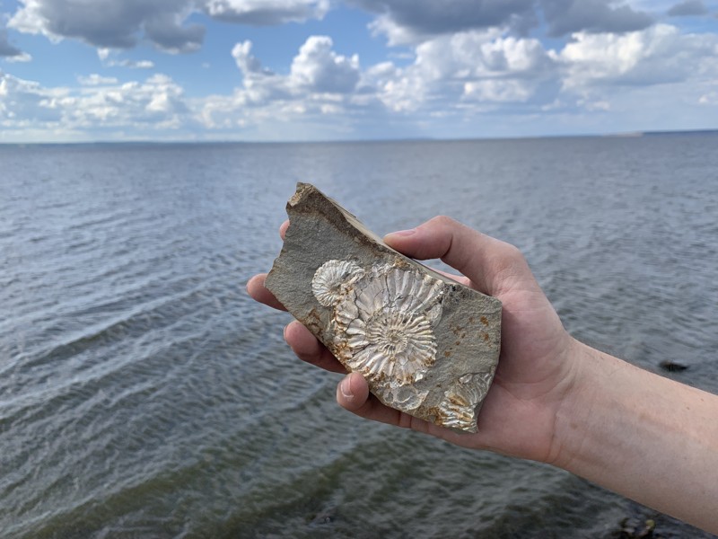 Целебная вода Ундор и динозавры Поволжья